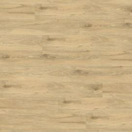 CREATION 55 1288 WHITE LEAD OAK BLOND